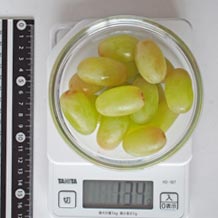 器10cmに盛ったトンプソン種無し皮つき