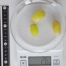 トンプソン種無し皮つき