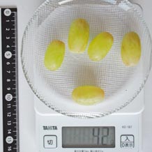 トンプソン種無し皮つき