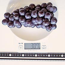 スチューベン1房