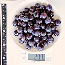 スチューベン1房66粒