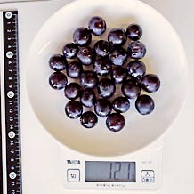 スチューベン27粒