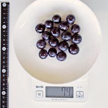 スチューベン17粒