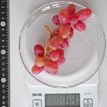 クリムゾン種無し皮つき1房(小)