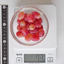 器10cmに盛ったクリムゾン種無し皮つき