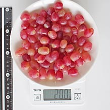 皿17cmに盛ったクリムゾン種無し皮つき