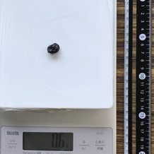 レイズン1個 0.6g