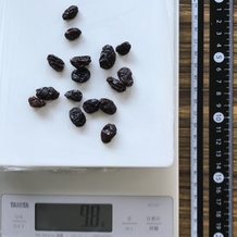 10g分のレイズン 9.8g