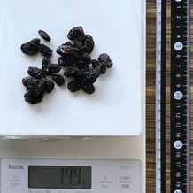 20g分のレイズン 19.9g