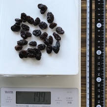 20g分のレイズン 19.9g (広げた)