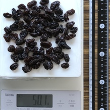 50g分のレイズン 50.1g