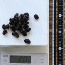 1掴み分のレイズン 23.3g