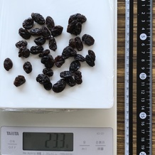 1掴み分のレイズン 23.3g (広げた)