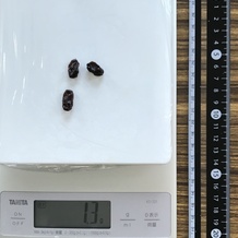  シュトレンの1切りに含むレイズン 1.3g