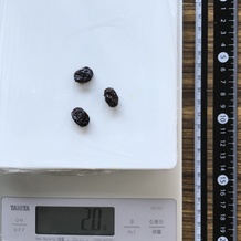 レイズン3個 2.0g
