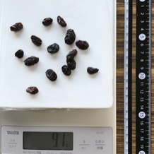 レイズン15個 9.1g