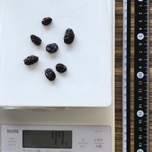 5g分のレイズン 4.7g