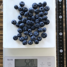 ブルーベリー 52g