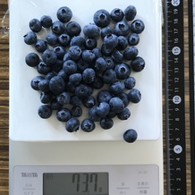 ブルーベリー 74g