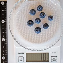 ブルーベリー8個