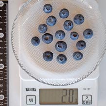 ブルーベリー16個