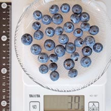 ブルーベリーヨーグルトに使われる40g