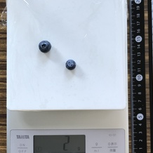 ブルーベリー2個 2g