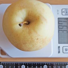 りんご カロリー 栄養成分 計算 カロリーslism