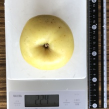 りんご カロリー計算 栄養成分 カロリーslism