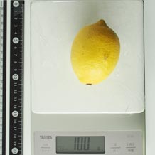 レモン 100g