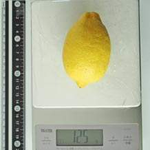 レモン 125g