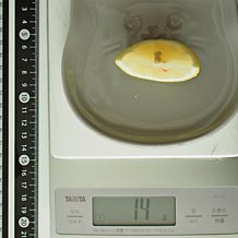 レモン 14g