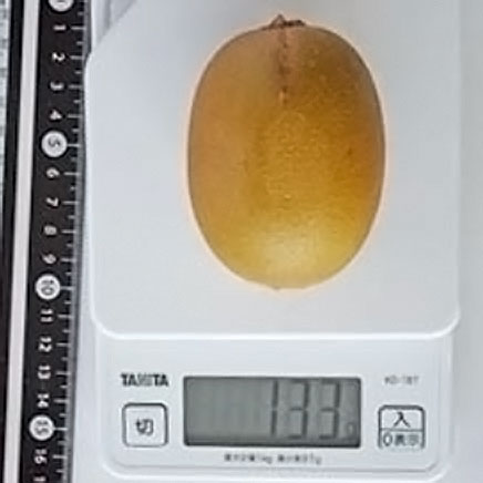 ゴールドキウイ1個