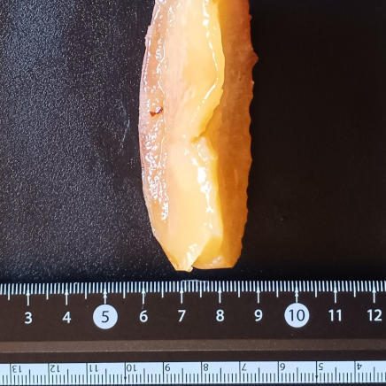 りんご1/8個分(厚さ約3㎝) 26g