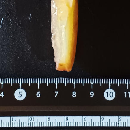 りんご1/16個分(厚さ約1.5㎝) 13g