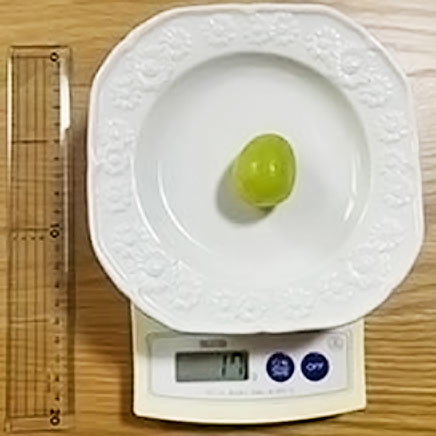 シャインマスカット1粒