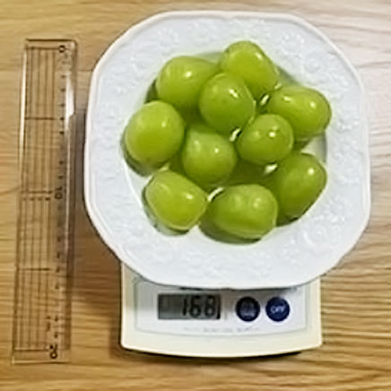 シャインマスカット10粒