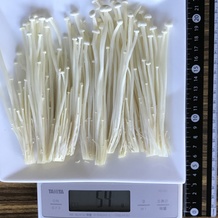 えのき 54g