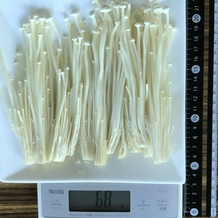 えのき 68g