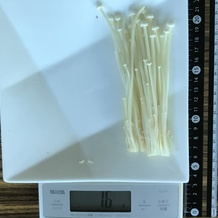 えのき 16g