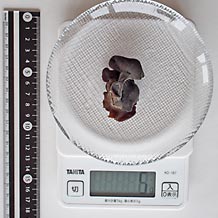 茹でたキクラゲ5g