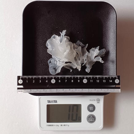 角皿(中)にのせた10gの白きくらげ