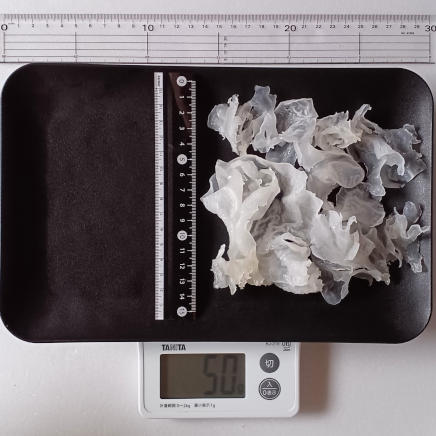 角皿(大)にのせた50gの白きくらげ