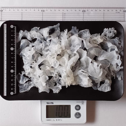 角皿(大)にのせた100gの白きくらげ