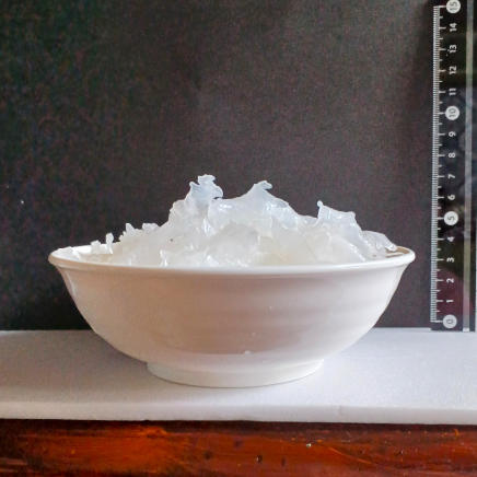 横から見た中皿に入れた100gの白きくらげ