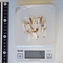 しいたけ細きり4ｇ