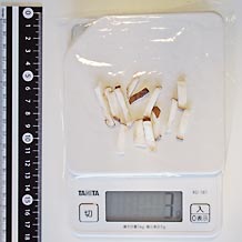 しいたけ細きり3ｇ