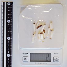 しいたけ細きり２ｇ