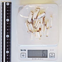 しいたけ細きり6ｇ