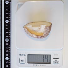 しいたけ大(生)1/2